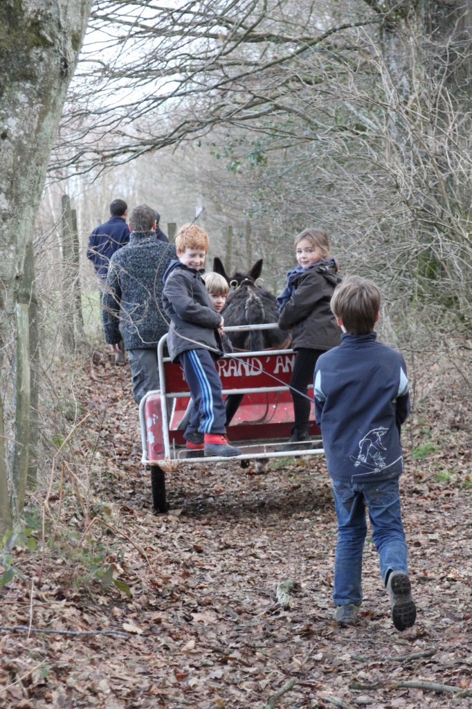 charette tous terrains!