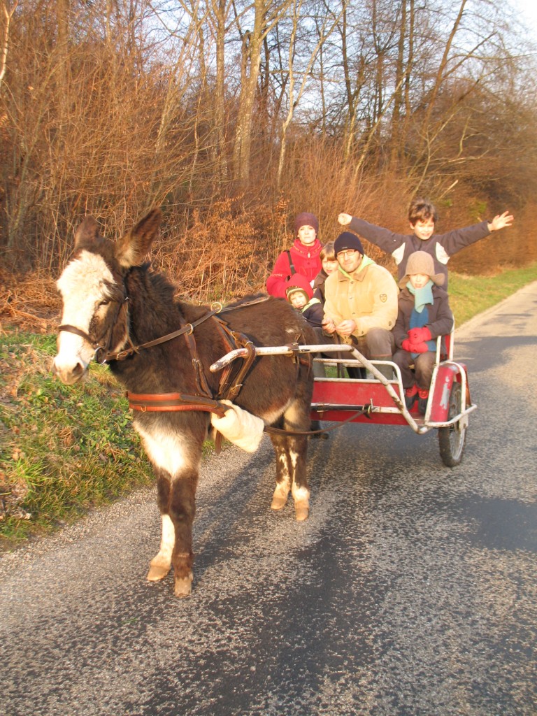 Petite charette grande capacité!