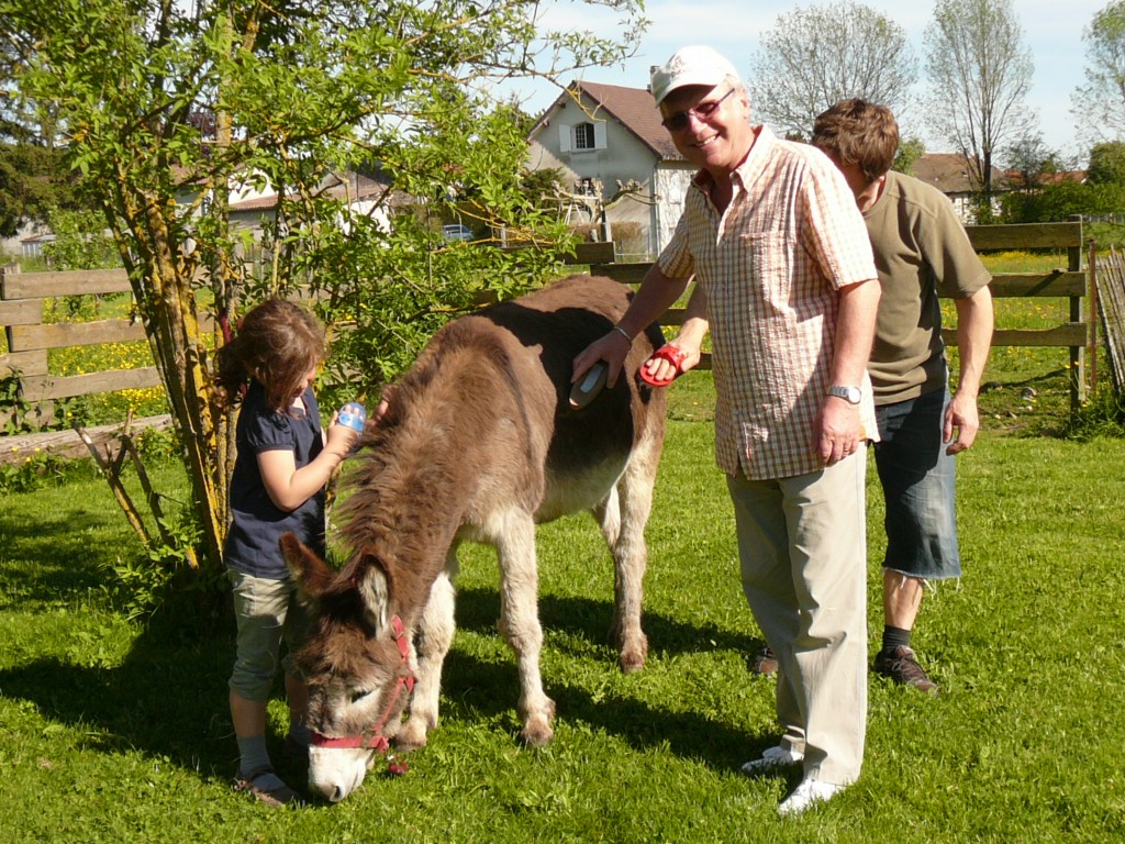 Brossage obligatoire!