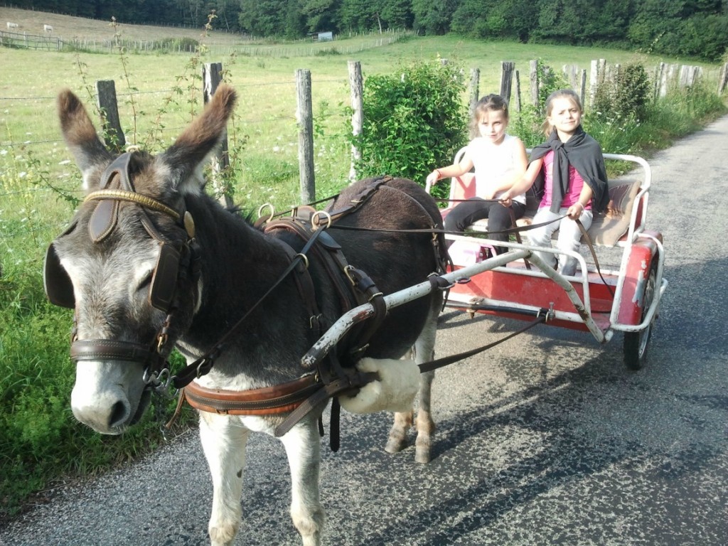 en charette,...c'est chouette aussi!